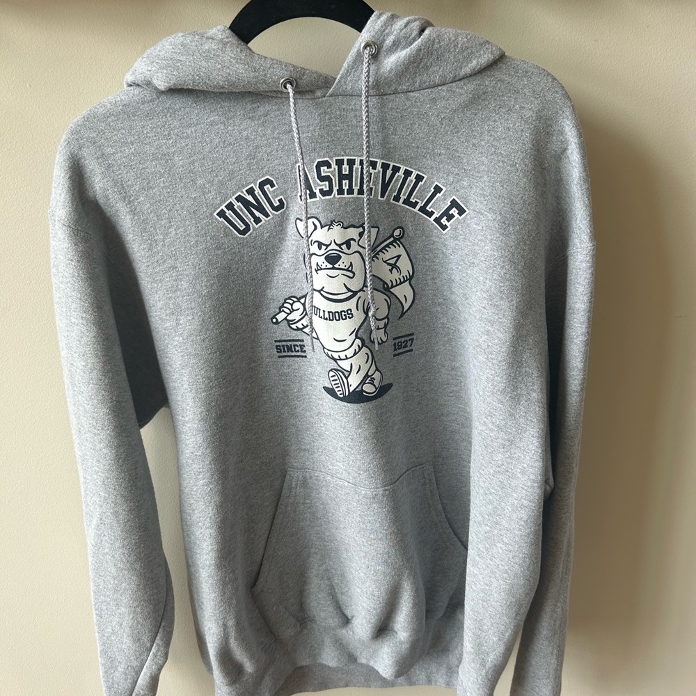 Champion Gray UNC Asheville Hoodie